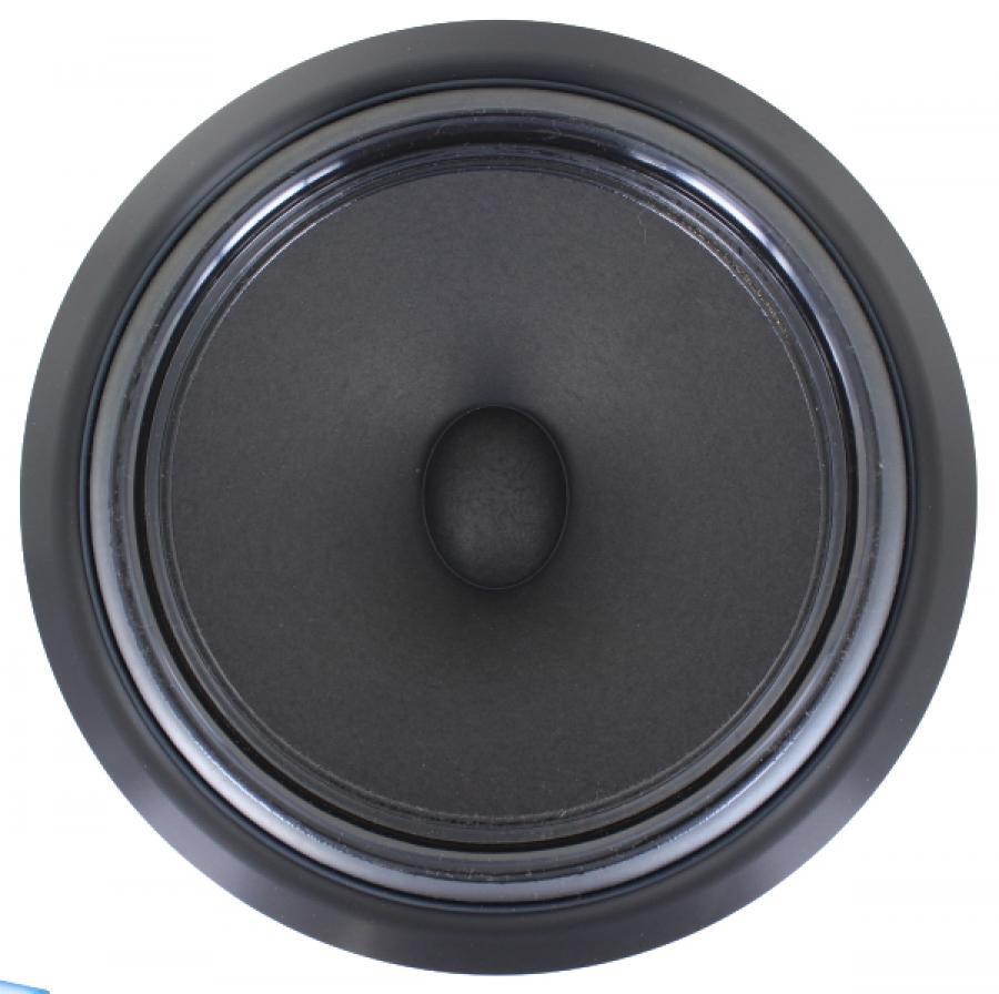 Scan-Speak Ellipticor A50 woofer photo